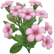 Flores sticker