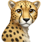 Cheetah sticker