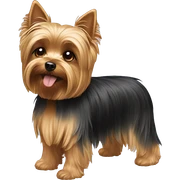 Yorkie dog sticker