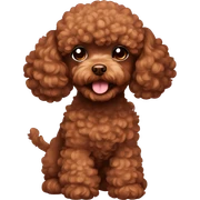 Brown toy poodle  sticker