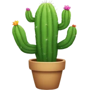 Rainbow cactus  sticker