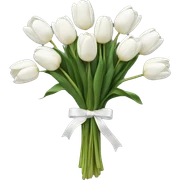 Bouquet of white tulips sticker