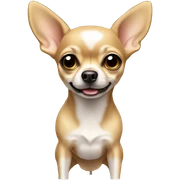 Chihuahua sticker