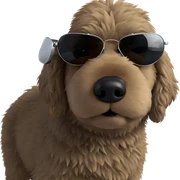 fluffy dog in aviator sunglasses sticker