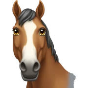 Caballo sticker