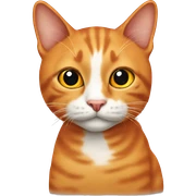 CAT,orange sticker
