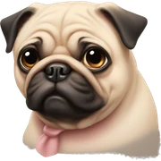 Pig pug sticker