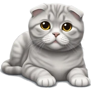 Gray Scottish fold laying  sticker