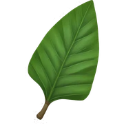 Manioc leaf sticker