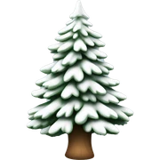  actual white fir christmas tree isolated.  sticker