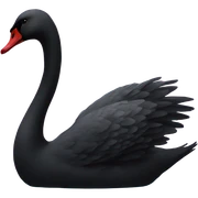 black swan sticker