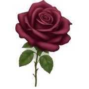 Burgundy rose sticker