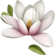 Magnolia sticker