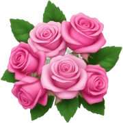 Pink roses sticker