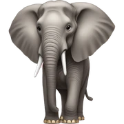 Elephant wearing a gucci shall sticker