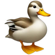 Duck sticker