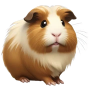 Guinea pig sticker