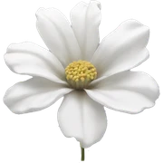 Aesthetic flower white sticker