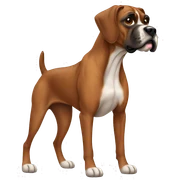 Brown boxer hound sticker