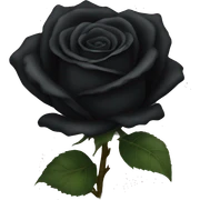 Black rose  sticker