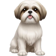 Shih tzu sticker