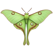 Luna Moth sticker