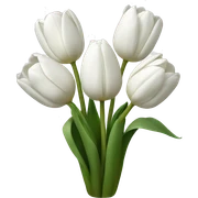 White tulips sticker