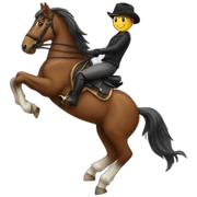 Horse riding sticker