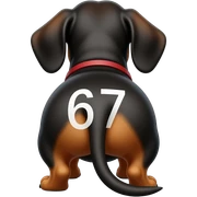 Dachshund's butt with the number 67 sticker