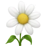 white flowers sticker