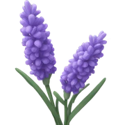 lavender close-up sticker
