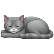 Grey cat sleeping sticker