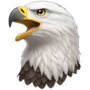 Bald Eagle sticker
