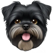 Affenpinscher sticker