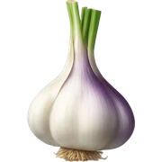 garlic sticker