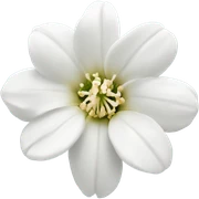 White Sping flower sticker