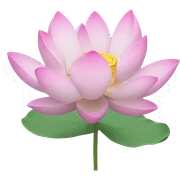 Lotus Flower  sticker