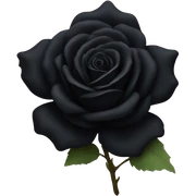 Black rose sticker