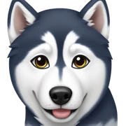 Husky  sticker