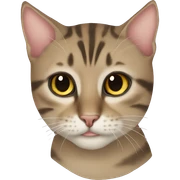 Gatto sticker