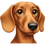 dachshund  sticker