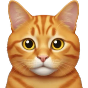 Orange cat sticker
