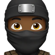 Ninja  sticker