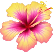 yellow and pink hibiscus flower sticker