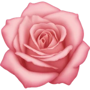 Rose fionka sticker