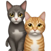 cat and cat sticker