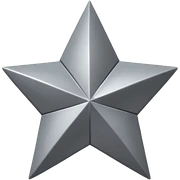 Grey star sticker