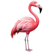 flamingo sticker