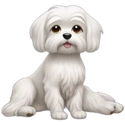 Yoga maltese dog sticker