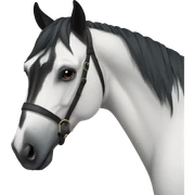 Black horse  sticker